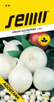 Obrázek produktu pro Cibule jarní - Agostana bílá 1g