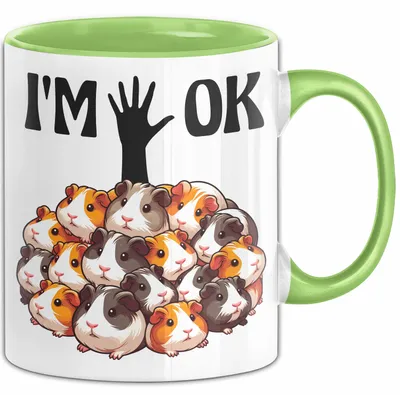 Produktbild von Meerschweinchen-Besitzer Tasse Geschenk Lustiger Spruch I'M Ok (Grün)