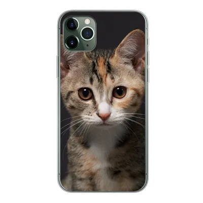 Produktbild von MuchoWow® Handyhülle Schutzhülle Hülle für iPhone 11 Pro Max Katze - Schwarz - Porträt Silikon Softcase Handy Hülle - Schutz