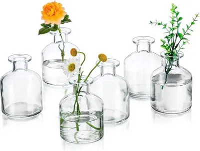 Produktbild von Famanu Mini Blumenvasen Set - 6 dekorative Glasvasen für Tischdekoration