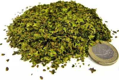 Produktbild von Green Stuff World - Laubstreu - Spring Green
