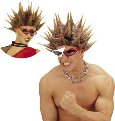 Produktbild von 80er Jahre Punk Perücke für Herren und Damen