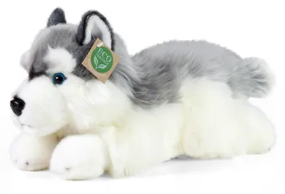 Produktbild von Rappa Plüsch Husky Kuscheltier 30 cm umweltfreundlich recyceltes PET
