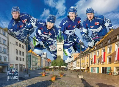 Obrázek produktu pro EUROGRAPHICS Puzzle Straubing Tigers 1000 dílků