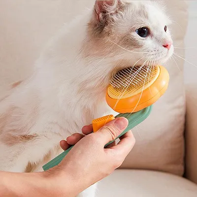 Produktbild von Bürste für Hunde und Katzen mit Reinigungsknopf, Fellbürste für langes und kurzes Fell, sanftes Entwirren ohne Ziehen, ergonomisch - PumpkinComb