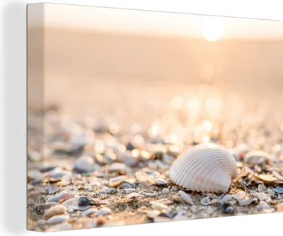 Produktbild von MuchoWow® - Leinwandbilder - Muscheln - Weiß - Strand - Sommer, Wandbild, Wanddeko Bilder Wohnzimmer, 90x60 cm