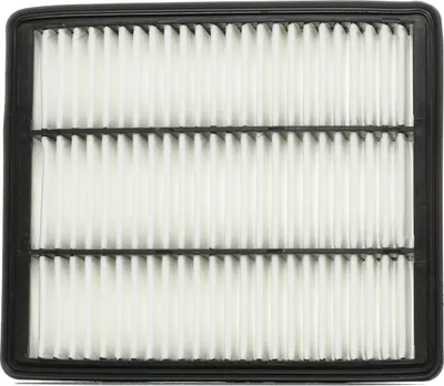 Produktbild von RIDEX 8A0165 Luftfilter für HYUNDAI TERRACAN (HP)
