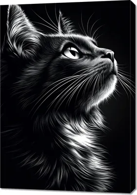 Produktbild von Bild 70x100cm Tierporträt für das Wohnzimmer | Katze | Schwarz Weiß