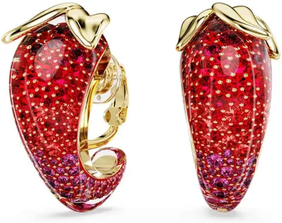 Produktbild von Swarovski Idyllia 5751416 Ohrringe