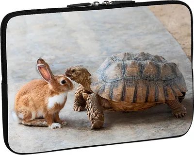Produktbild von PEDEA Design Schutzhülle Notebook Tasche bis 15,6 Zoll (39,6 cm), Rabbit and turtle