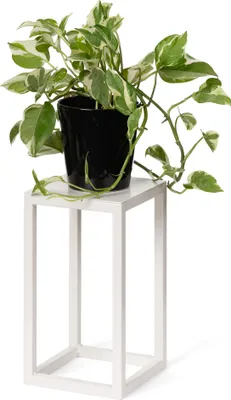 Produktbild von LAMO Manufaktur Blumenständer Elfenbein aus Metall 28cm | Pflanzensäule für Innenräume - Wohnzimmer, Schlafzimmer | Blumenständer modern zur Hochzeit, Sockel für Skulpturen, Deko, kleiner Blumenhocker