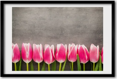 Produktbild von Bild 60x40 MDF-Rahmen, Wandkunst rosa Tulpen