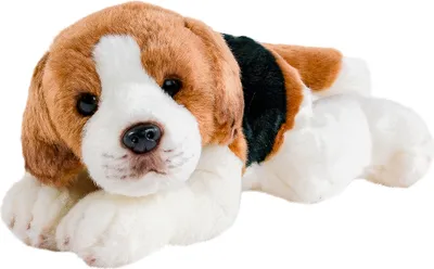 Produktbild von Kuscheltier Beagle liegend 30 cm Plüschhund