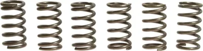 Immagine prodotto di Kit 6 molle frizione EBC CSK010