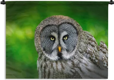 Produktbild von MuchoWow® Wandteppich Wandbehang Vogel - Eule - Tiere - Braun - Porträt 90x67.5 cm Tapisserie Dekoration Wandtuch - Fototeppich - Wand-Skulpturen