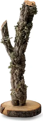 Produktbild von BioBranch Korkeiche Terrariendekoration 30cm – sichere Kletterfläche & Unterschlupf