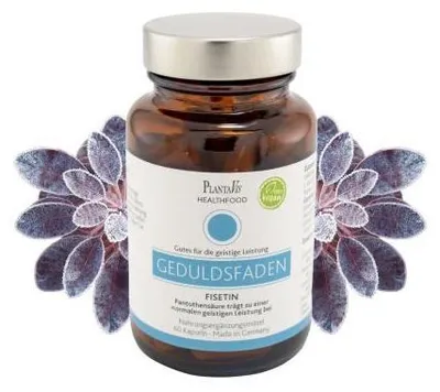 Image de Fisetin gélules 60 pcs