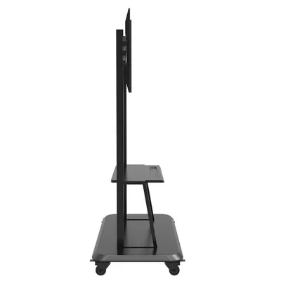 Obrázek produktu pro CELEXON Profi Display Rollwagen 55120MP