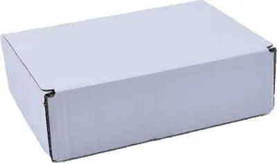 Produktbild von Karton Stanzform Kartonbox 100x80x20mm F427 Weiß Paketautomat XS