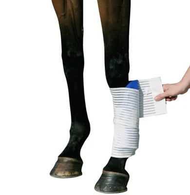 Image de Stübben bandage de fixation Kryo Kompakt Horse bandage élastique
