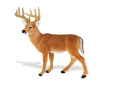 Produktbild von Safari Ltd 180029 Weißschwanzhirsch 11 cm Serie Wildtiere
