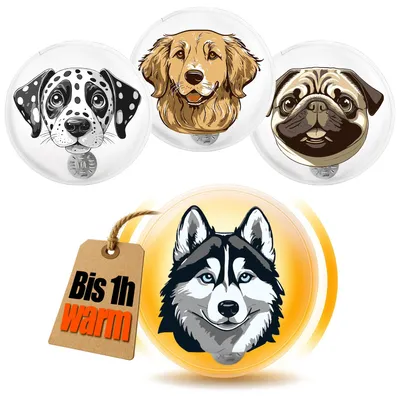 Produktbild von COM-FOUR® 4x Taschenwärmer wiederverwendbar - Handwärmer mit Hunde Motiven