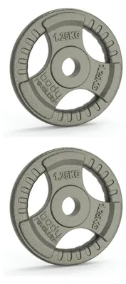 Image de 2 disques de fonte de 1,25 kg – Barre standard à 1 pouce (2,54 cm) pour haltères