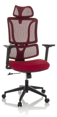 Obrázek produktu pro Kancelářská židle MyBuero Home Office Kancelářská židle ERGOMY s područkami (výškově nastavitelná) látková / síťovaná otočná židle