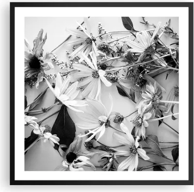 Produktbild von Gerahmtes Poster - Schwarzer Rahmen - Blumen Schwarzweiß Fotografie - 60x60 cm - Wand Bild - Wanddeko - Wandbilder - Kunstposter - Wandposter - Bilderrahmen - Bilder - Kunstdruck - P2BAC60x60-4740