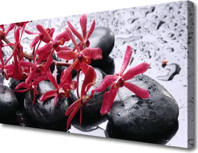 Produktbild von Tulup Leinwand-Bilder 100x50 Wandbild Canvas Kunstdruck Blumen Steine Kunst