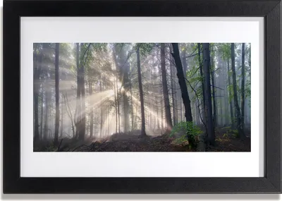 Produktbild von Bild 30x20 MDF-Rahmen Wandkunst Natur Wald Bäume