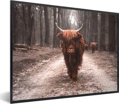 Produktbild von MuchoWow® Gerahmtes Poster Schottischer Hochländer - Wald - Kuh - Tiere - Natur 80x60 cm - Poster mit Schwarzem Bilderrahmen Wandposter Rahmen Foto Bilder - Schwarzem - Mit Gestell