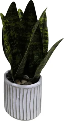 Obrázok produktu pre Sanseviera ARTIFICIAL PLANT 20 cm