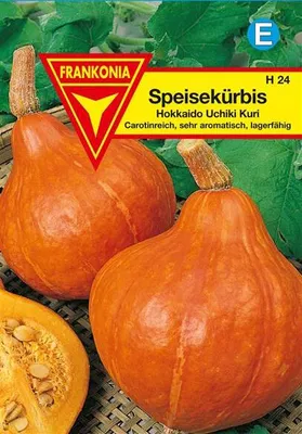 Produktbild von Speisekürbis Hokkaido Uchiki Kuri