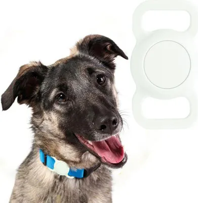Image de Housse pour Apple AirTag sur le collier, Mobile Origin Pet Collar, vert clair