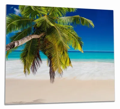 Produktbild von Wallario Herdabdeckplatte aus Glas, Größe 60 x 52 cm 1-teilig, Motiv Südseestrand in der Karibik mit Palme