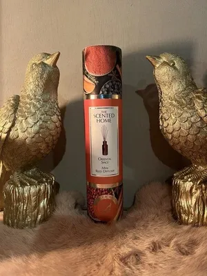 Productafbeelding van Ashleigh & Burwood oriental spice geurstokjes 50ml