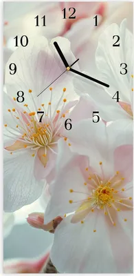 Produktbild von Wanduhr aus Glas mit Motiv Kirschblüten Zauber- 30 x 60 cm - inkl. Aufhängesystem