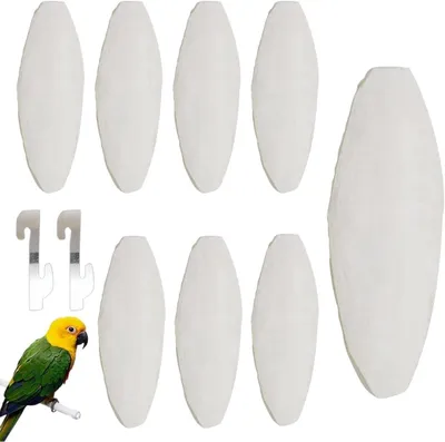 Imagen del producto de Conchas de sepia, 8 unidades, juguete para masticar para aves