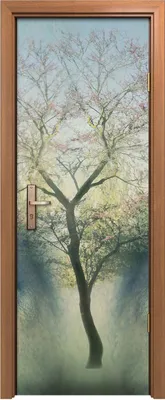 Produktbild von Türposter 70x200 cm Türaufkleber Türtapete Türfolie Klebefolie Abstrakte menschliche Augen Träum