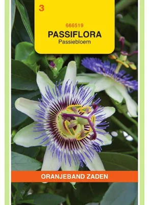 Imagen del producto de Oranjeband: Semillas de Passiflora caerulea (enredadera con flores) - 1 paquete
