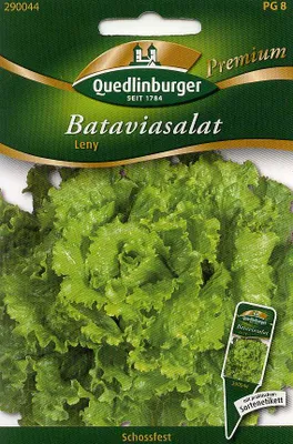 Produktbild von Bataviasalat, Leny