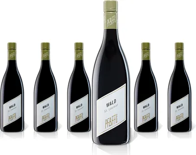 Produktbild von 6 x Weingut Pfaffl St. Laurent WALD