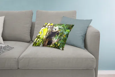Produktbild von MuchoWow® Zierkissen Sofakissen Wohnzimmer Dekokissen 60x40 cm Panda - Tier - Baum - Kopfkissen - Polster mit Foto