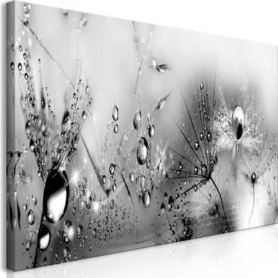 Produktbild von Wandbild Mega XXXL Pusteblume 250x125 cm Einteiliger XXL-Format Kunstdruck zur Selbstmontage Leinwandbilder moderne Bilder DIY Wanddekoration Wohnung Deko Natur Wassertropfen a-A-0474-ak-e