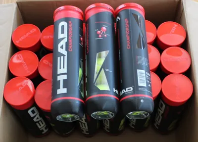 Obrázok produktu pre Head Championship Tenisová loptička 4