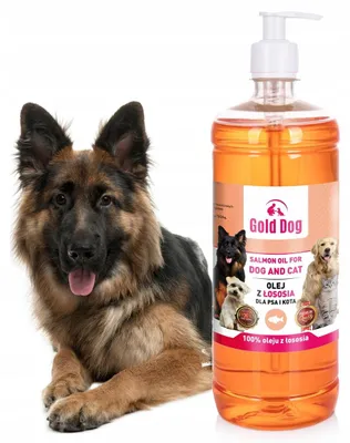 Image de Gold Dog, huile de saumon, 1 litre