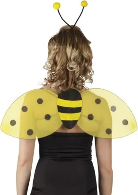 Obrázek produktu pro Boland 52852, Souprava na maškarní, Dětský, Ženy, Honeybee, Železo, Polyester, Polyetylen, Polypropylen (PP), Černá, Žlutá