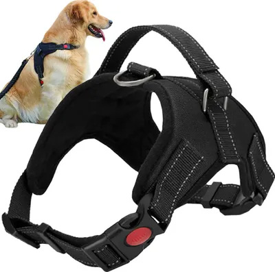 A black dog harness is shown in the foreground, with a golden retriever wearing a similar harness in the background.