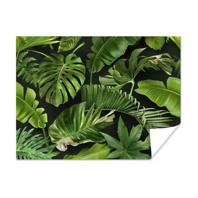 Produktbild von MuchoWow® Poster Muster - Tropisch - Blätter - Jungen - Mädchen - Kinder - Kind 160x120 cm - Foto Plakat